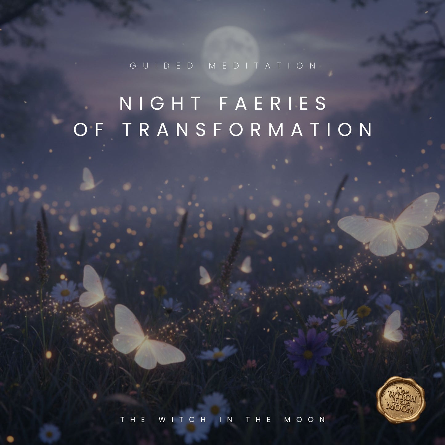 The Night Faeries of Transformation Guided Meditation & Ritual | De-Stress, Relax & Reconnect