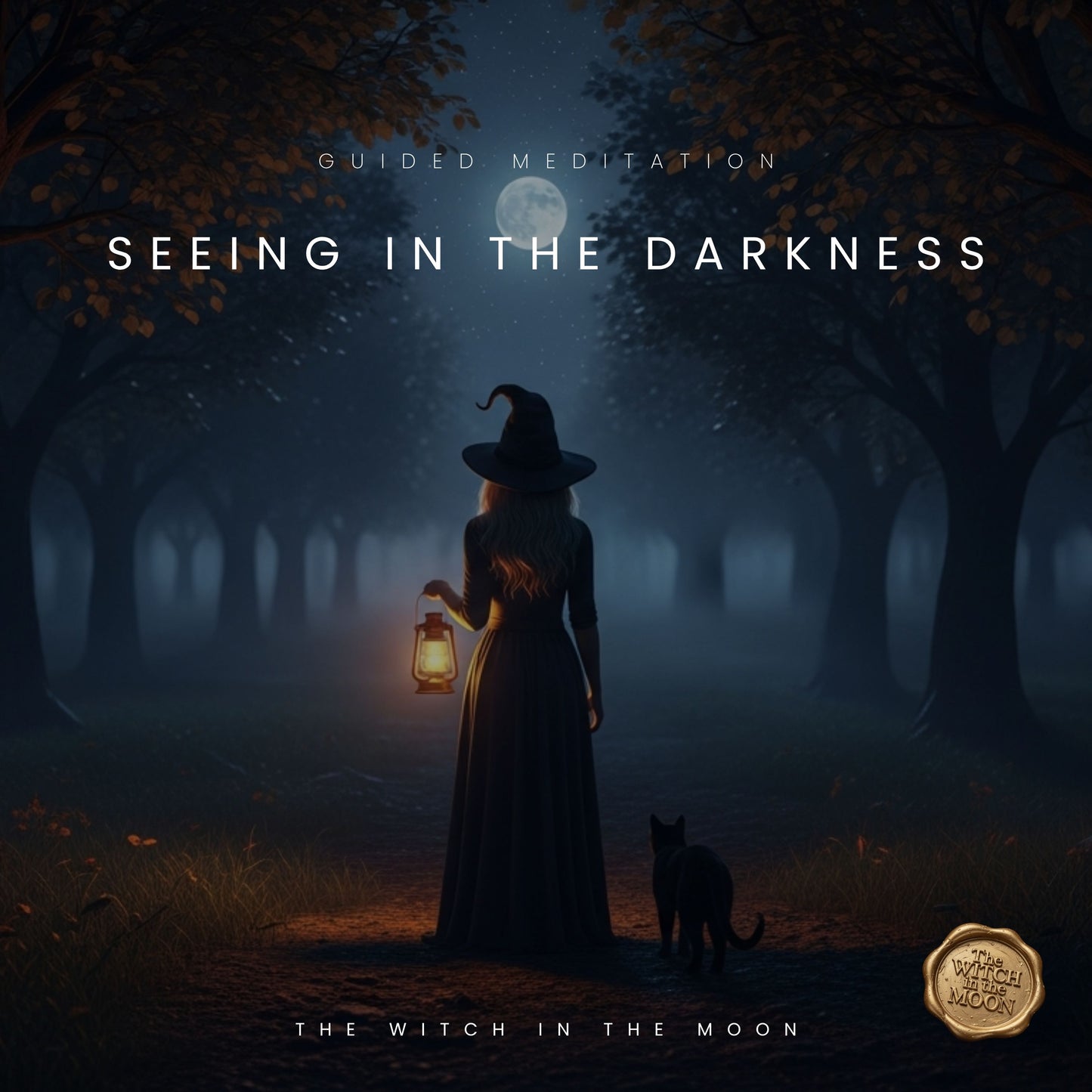 Seeing in the Darkness Guided Meditation | Clarity, Strength & Inner Guidance Shadow Work Healing