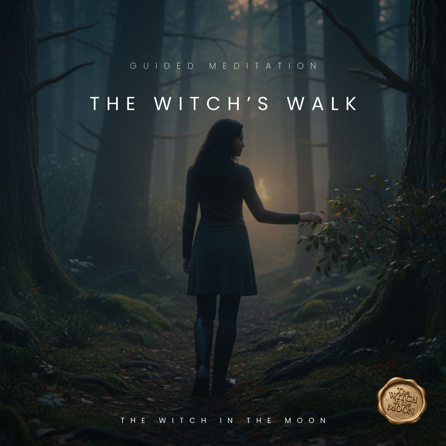 The Witch's Walk Magical Forest Walk Guided Meditation & Ritual | Meet Your Spirit Guides for Messages Intuition & Guidance