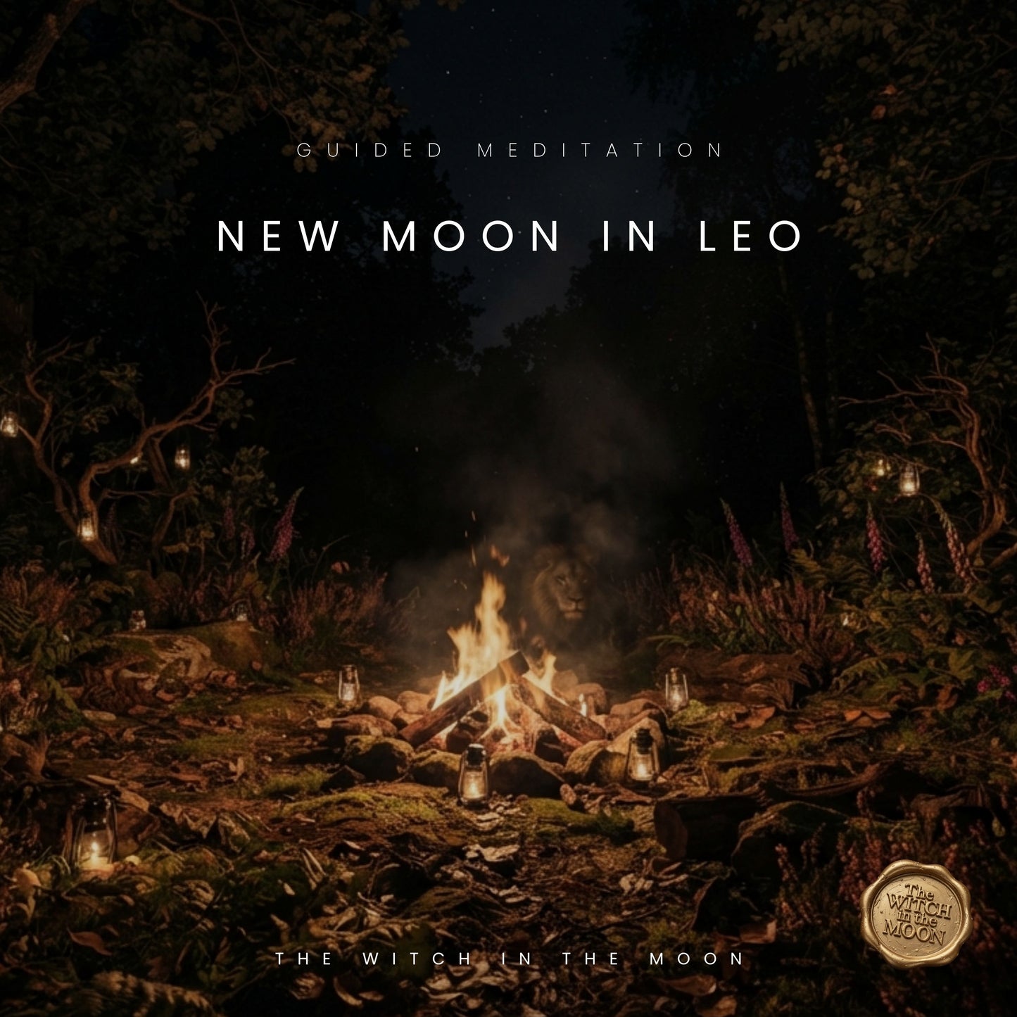 New Moon in Leo Guided Meditation & Ritual | Courage, Confidence & Self-Belief Awaken Your Inner Fire