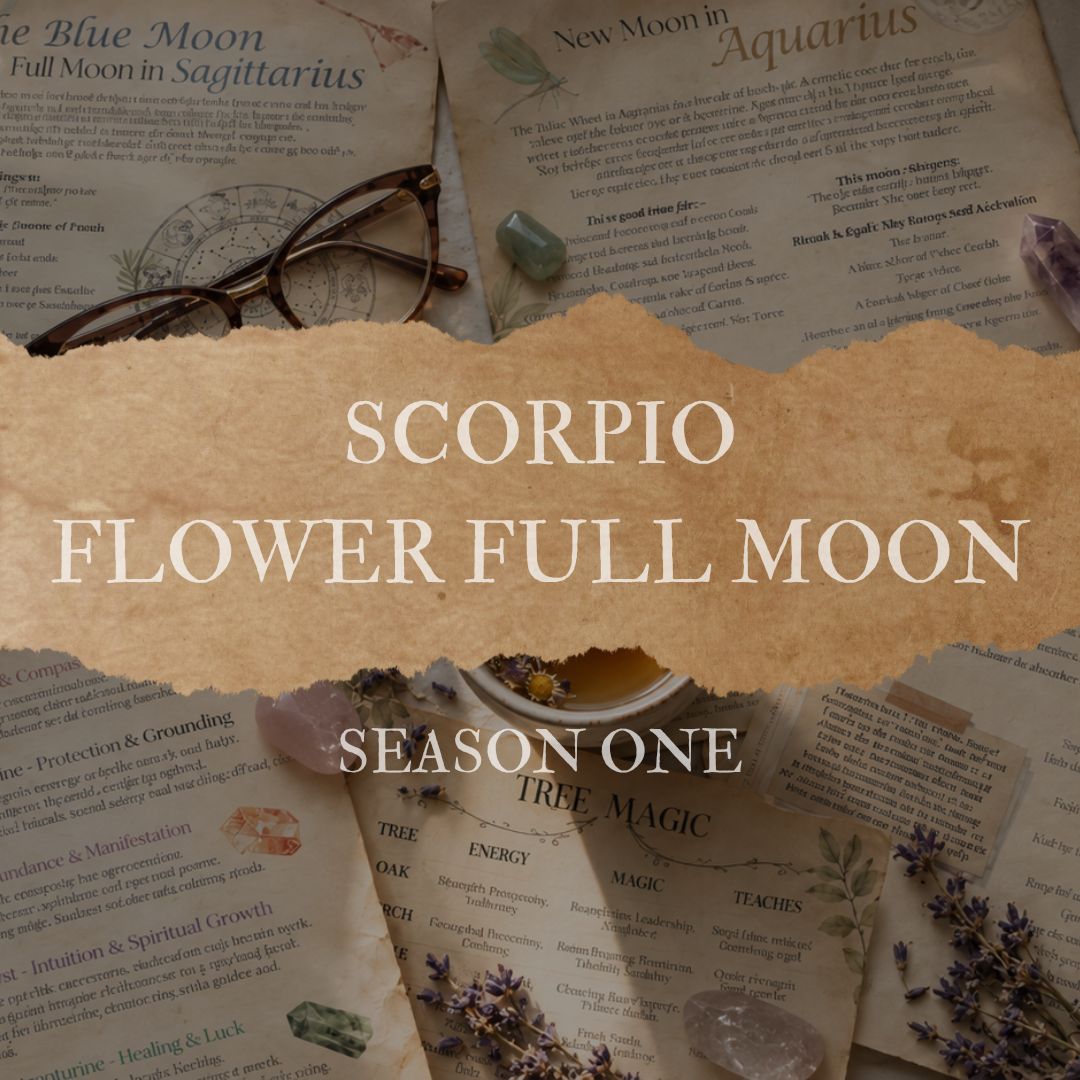 Flower Moon Full Moon in Scorpio Grimoire Page Season One