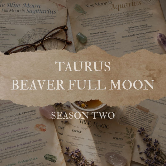 Beaver Moon Full Moon in Taurus Grimoire Page Season Two