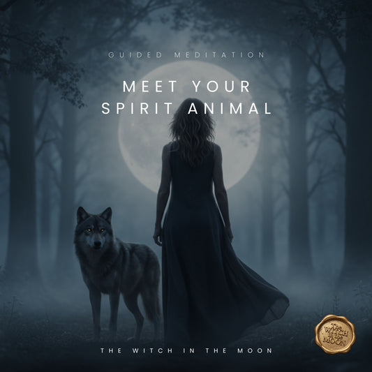 Meet Your Spirit Animal Guided Meditation & Ritual | Deep Connection & Animal Message Awakening