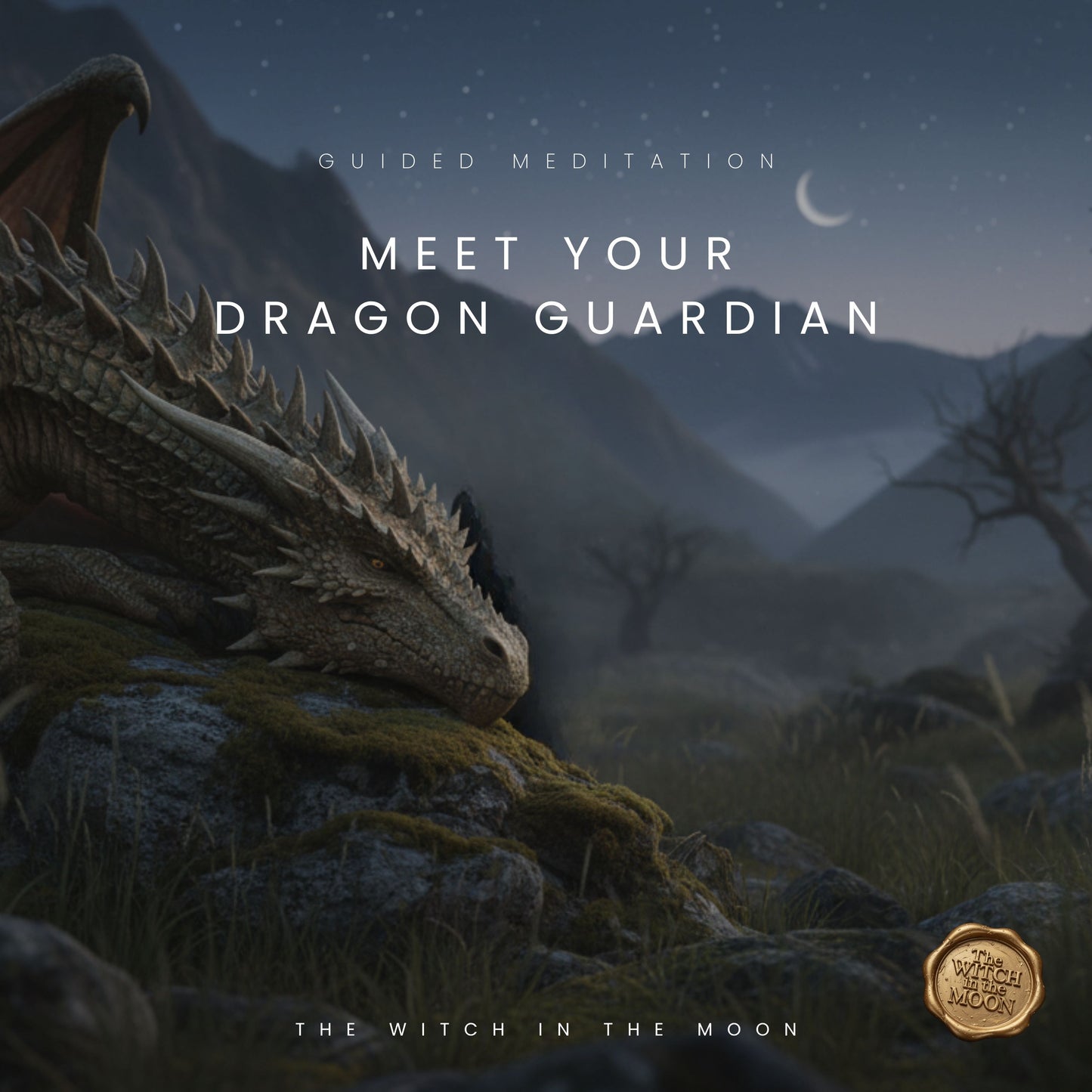 Meet Your Dragon Guardian Meditation & Ritual | Ancient Wisdom, Protection & Magic Relax & Receive Guidance