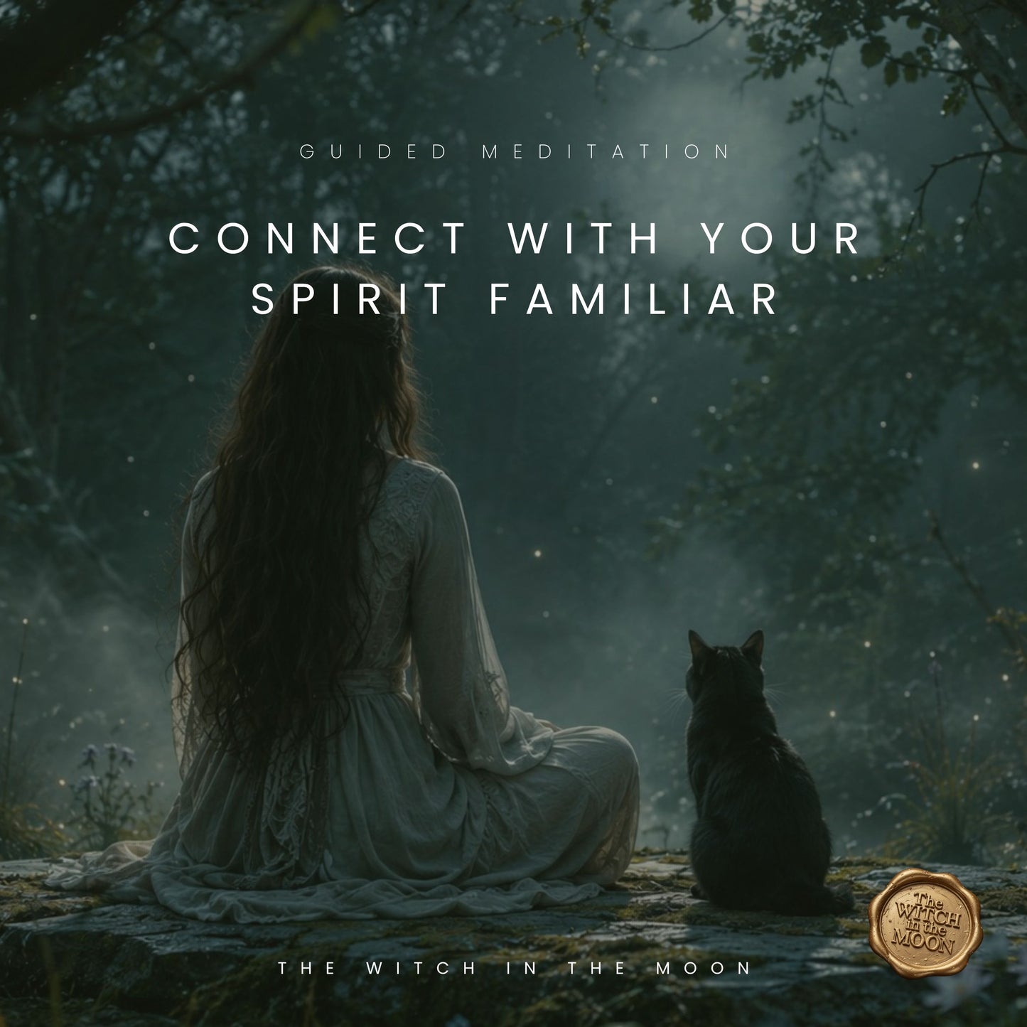 Connect With Your Spirit Familiar Meditation & Ritual | Magical Meditation for Intuition & Spirit Message