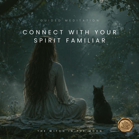 Connect With Your Spirit Familiar Meditation & Ritual | Magical Meditation for Intuition & Spirit Message
