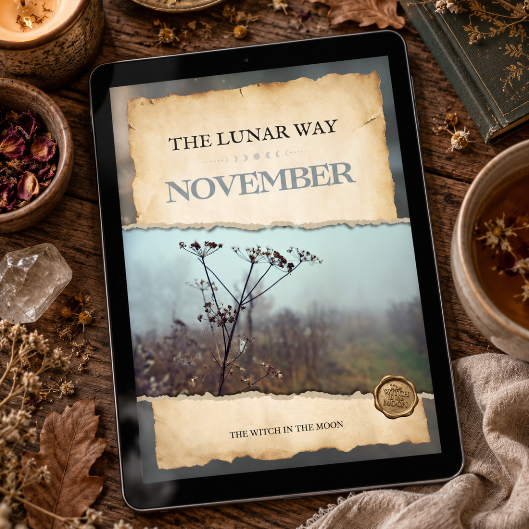 The Lunar Way : Live Life Aligned With The Moon