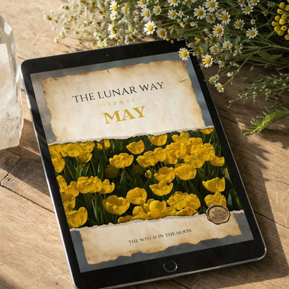 Live Life 'The Lunar Way' : A Monthly Subscription To Align With The Moon