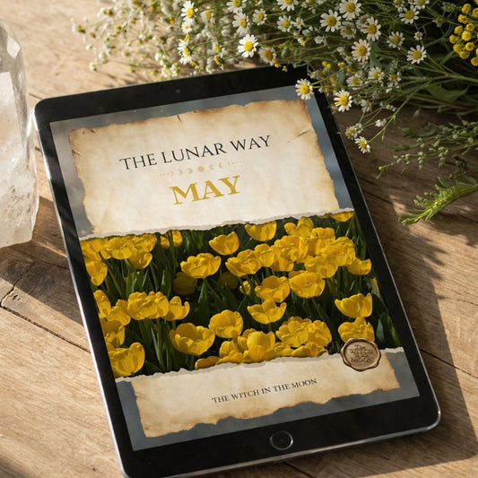 Live Life 'The Lunar Way' : A Monthly Subscription To Align With The Moon
